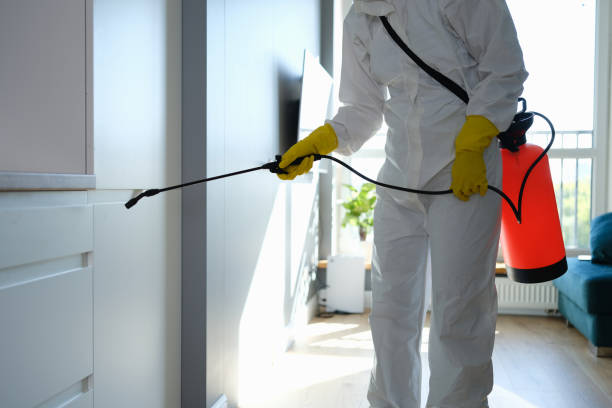 Best Commercial Mold Removal  in Lamesa, TX